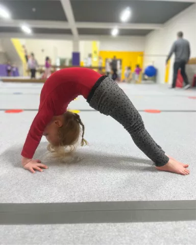 Parent and Toddler Class tile image